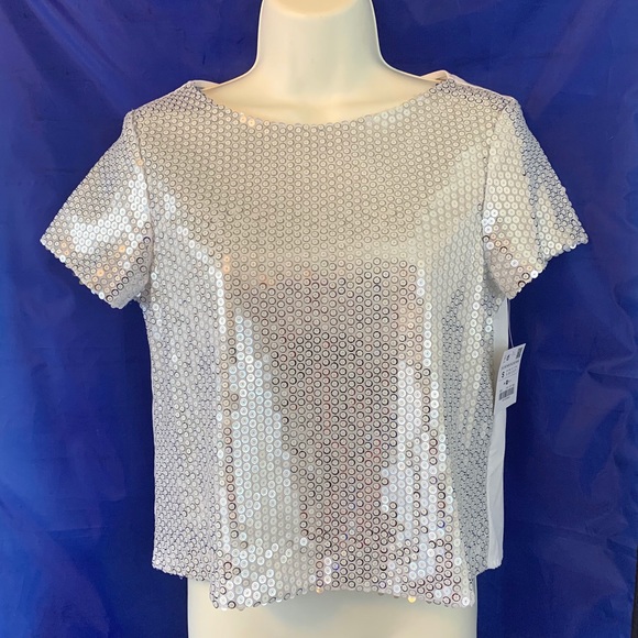 Zara Tops - ZARA BASIC SILVER SEQUIN SHORT SLEEVE TOP SMALL!!!